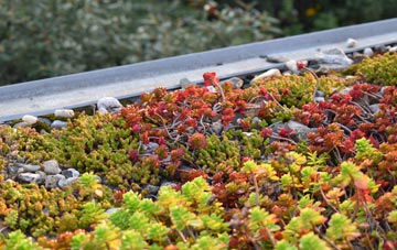 the cost of Hewish green roof installation