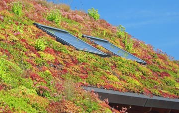 Hewish living roof systems