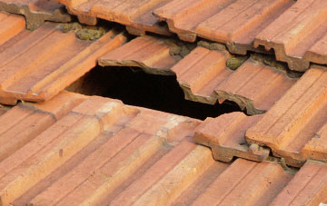 roof repair Hewish, Somerset