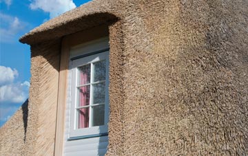 Hewish thatch roof disadvantages