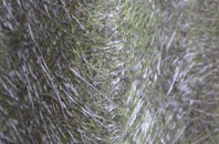 Hewish fibreglass roof work